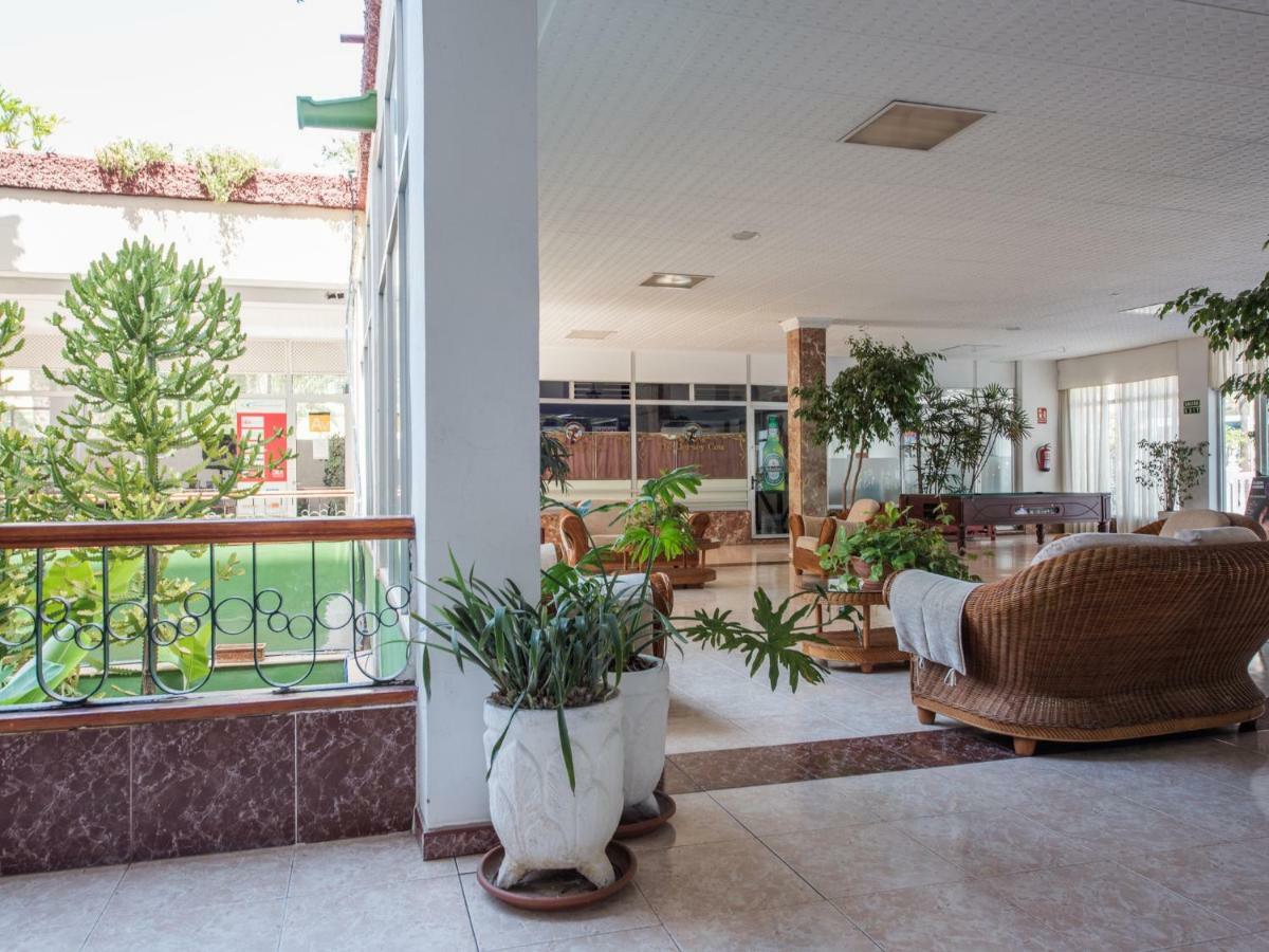 926 Fabulous View Of Lasamericas, Seafront Studio! Playa de las Americas (Tenerife) Exterior foto